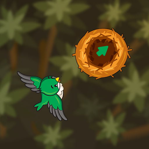 Surely Science Draw The Bird Path