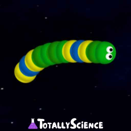 Totally Science Snake